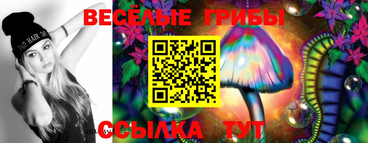 Псилоцибиновые грибы прущие грибы Ишимбай