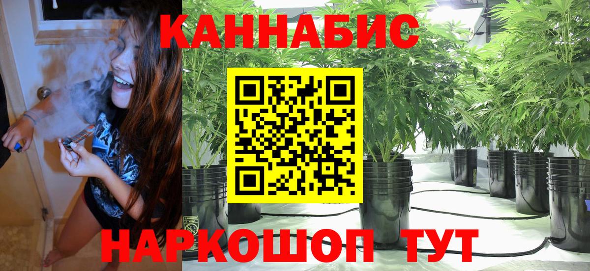 Каннабис ГИДРОПОН  Каннабис конопля  Ишимбай  Каннабис SATIVA & INDICA  Вход с VPN 